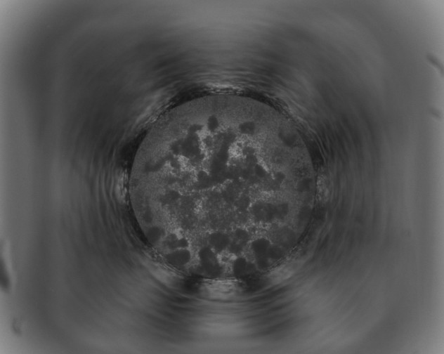 X0000091330671200708241202