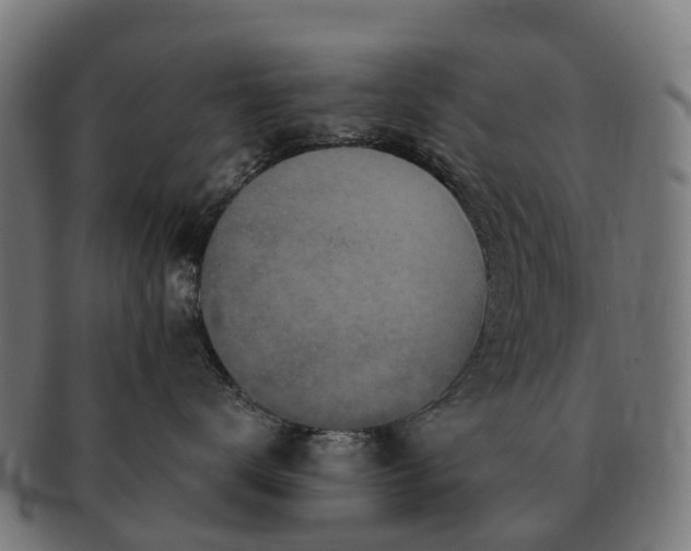 X0000091330672200708241202