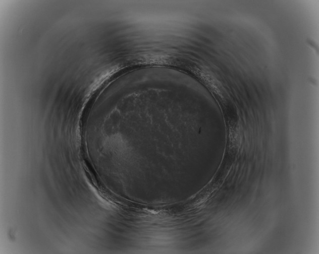 X0000091330674200708241201