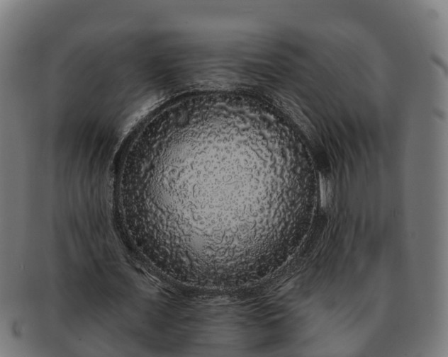 X0000091330675200708241201