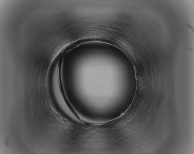 X0000091330676200708241201