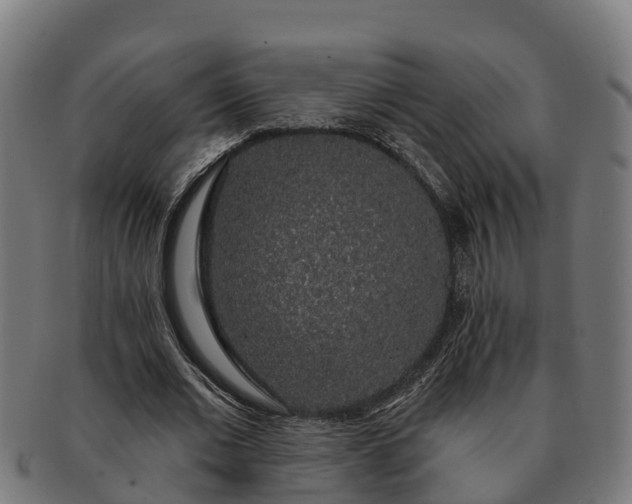 X0000091330677200708241201