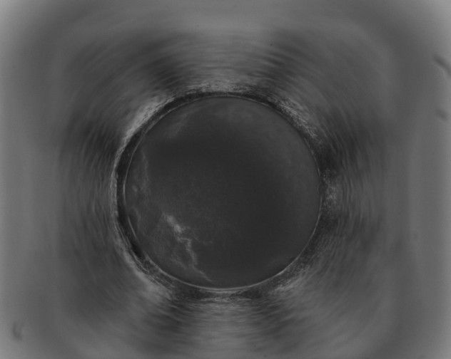 X0000091330678200708241201