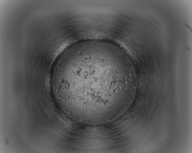 X0000091330679200708241201