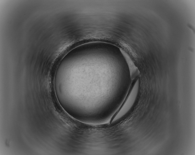 X0000091330680200708241201