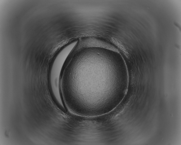 X0000091330681200708241201