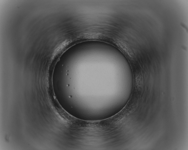 X0000091330682200708241201