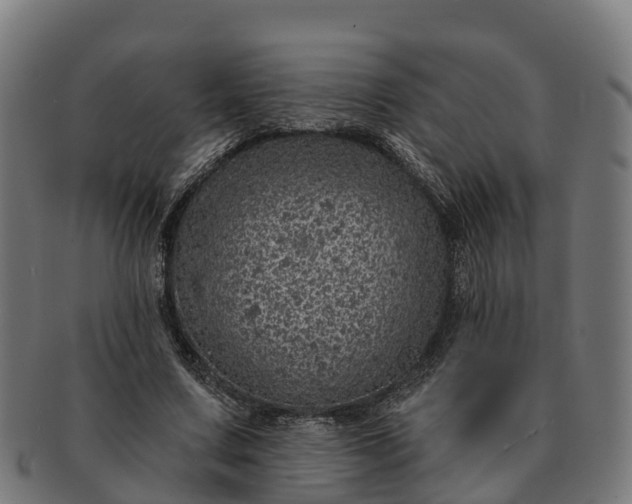 X0000091330683200708241201