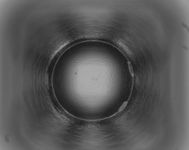 X0000091330684200708241201