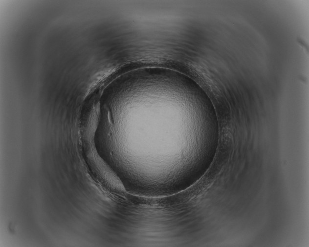 X0000091330688200708241201