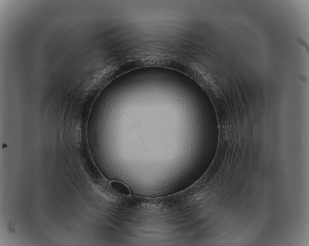 X0000091330690200708241201