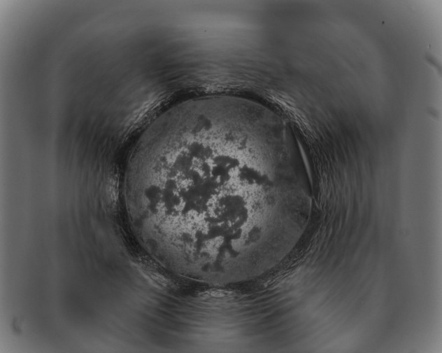 X0000091330691200708241201