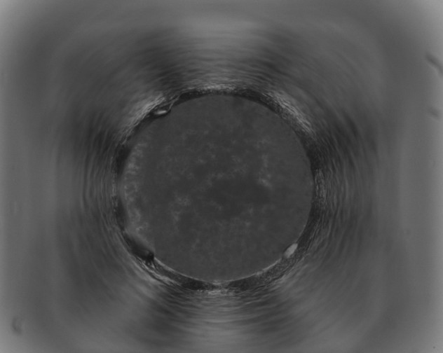 X0000091330692200708241201