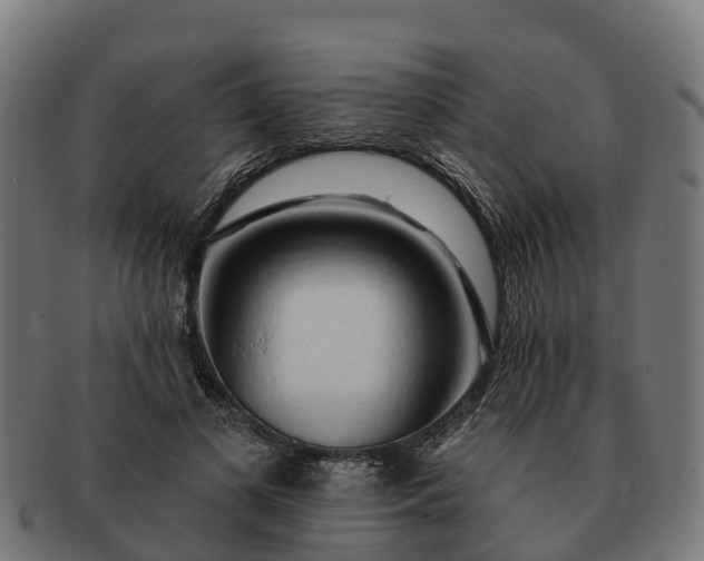 X0000091330693200708241201