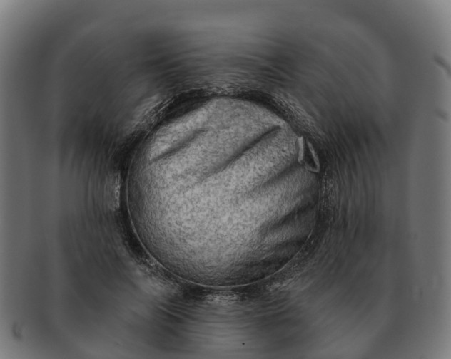 X0000091330694200708241201