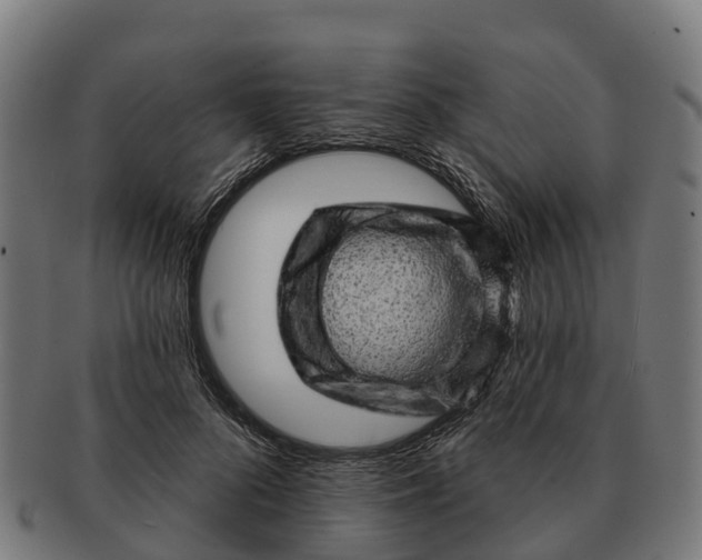 X0000091330696200708241201