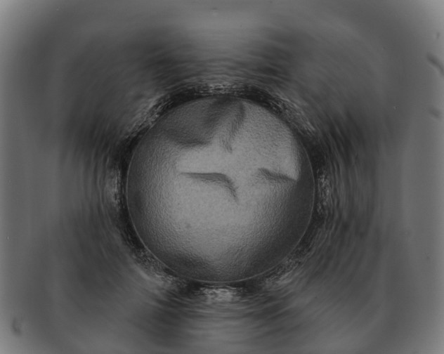 X0000091330698200708241201