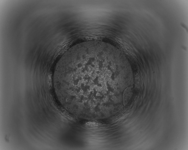 X0000091330699200708241201