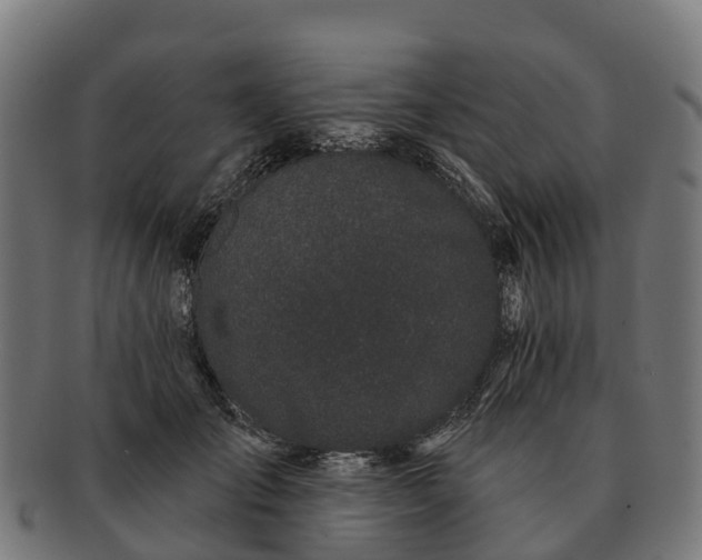 X0000091330701200708241201