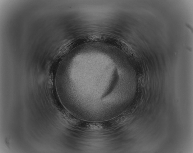 X0000091330702200708241201