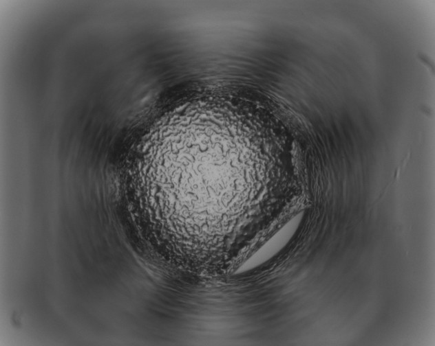 X0000091330703200708241201