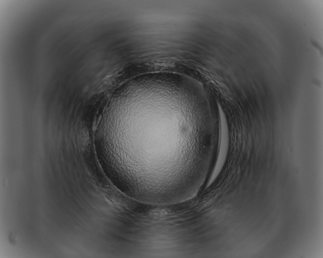 X0000091330704200708241201