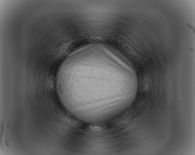 X0000091330706200708241201