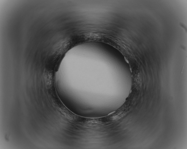 X0000091330708200708241200