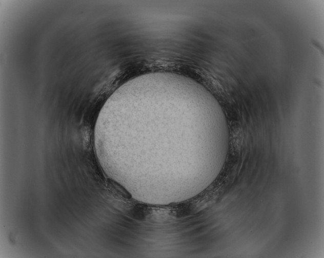 X0000091330709200708241200