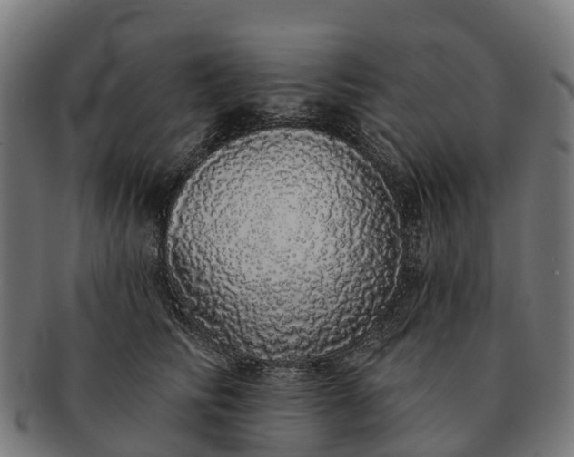 X0000091330710200708241200