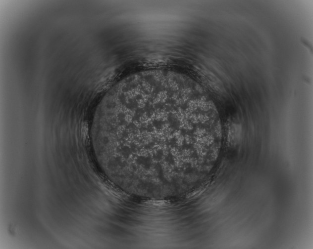 X0000091330711200708241200