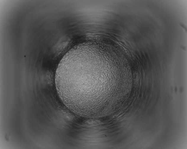 X0000091330712200708241200