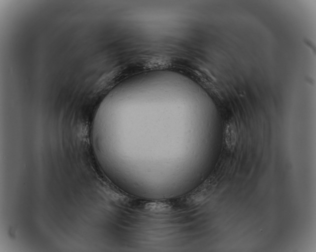 X0000091330714200708241200