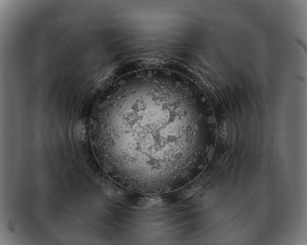 X0000091330715200708241200