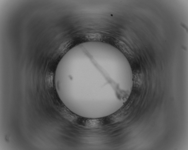 X0000091330717200708241200