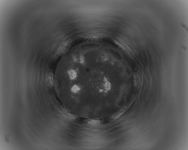 X0000091330718200708241200