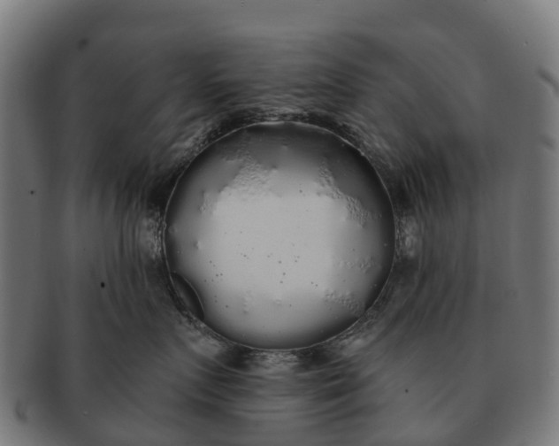 X0000091330719200708241200