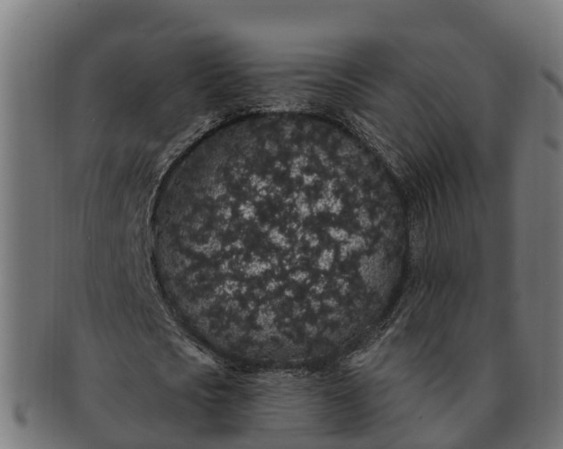 X0000091330721200708241200