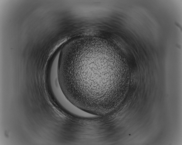 X0000091330722200708241200