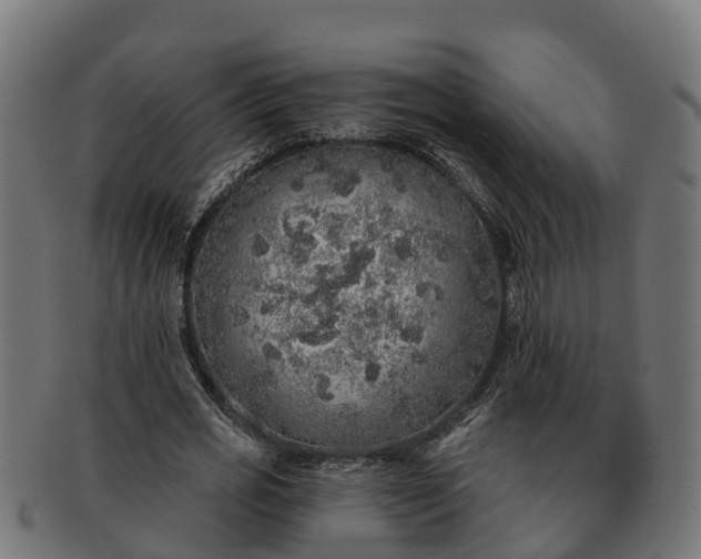 X0000091330725200708241200