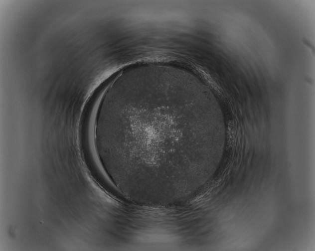 X0000091330726200708241200