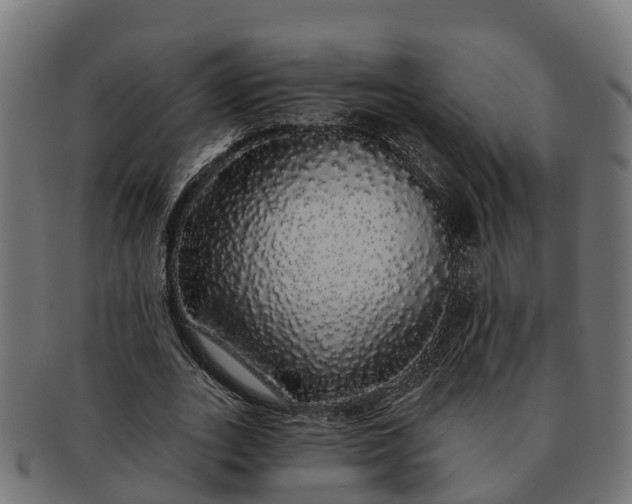 X0000091330727200708241200