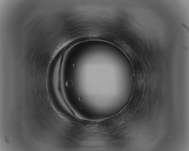 X0000091330728200708241200