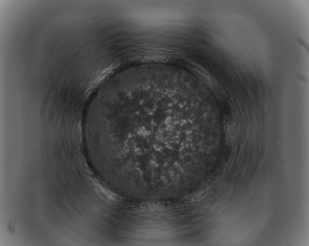 X0000091330729200708241200