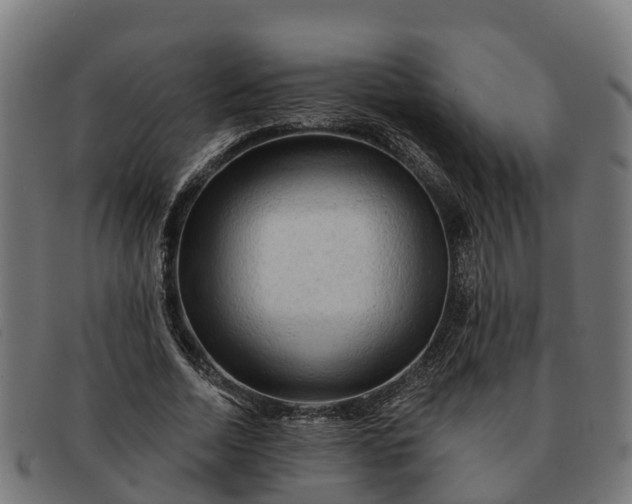 X0000091330730200708241200