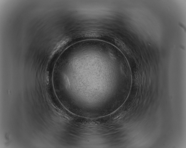 X0000091330731200708241200