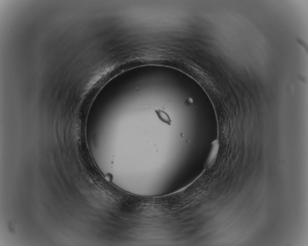 X0000091330732200708241200