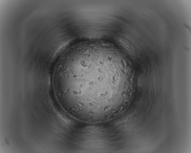 X0000091330733200708241200