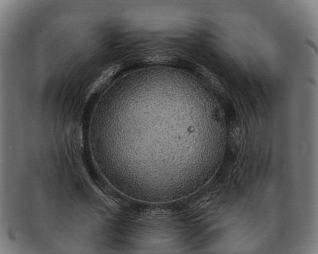 X0000091330734200708241200