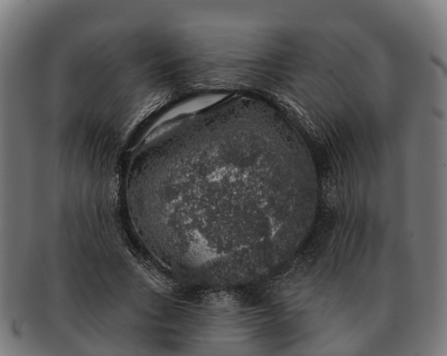 X0000091330735200708241200